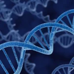 market-volatility-and-scientific-ambiguity-uniqures-amt-130-data-sparks-investor-alarm