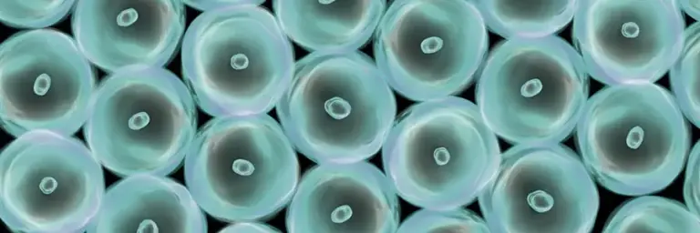 the-frontier-of-genetic-medicine-decoding-the-in-vivo-vs-ex-vivo-divide
