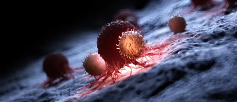 the-frontier-of-precision-oncology-oncoimmunology-launches-major-call-for-papers-on-adoptive-cell-therapies