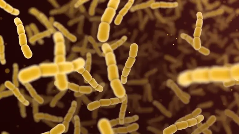 vaxcytes-phase-3-success-a-seismic-shift-in-the-pneumococcal-vaccine-market