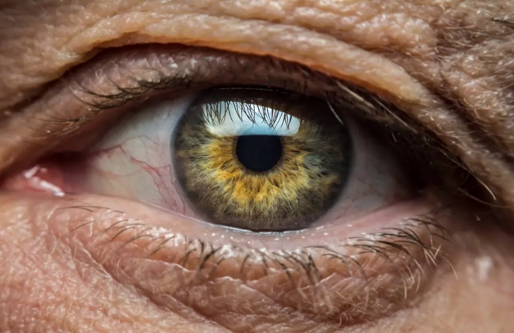 vision-restored-science-corporations-prima-implant-shows-unprecedented-long-term-results-for-geographic-atrophy